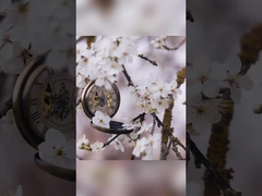 Lily Rose Osmanthus Teeth Whitening Toothpaste dalam bungkus kertas putih 400g