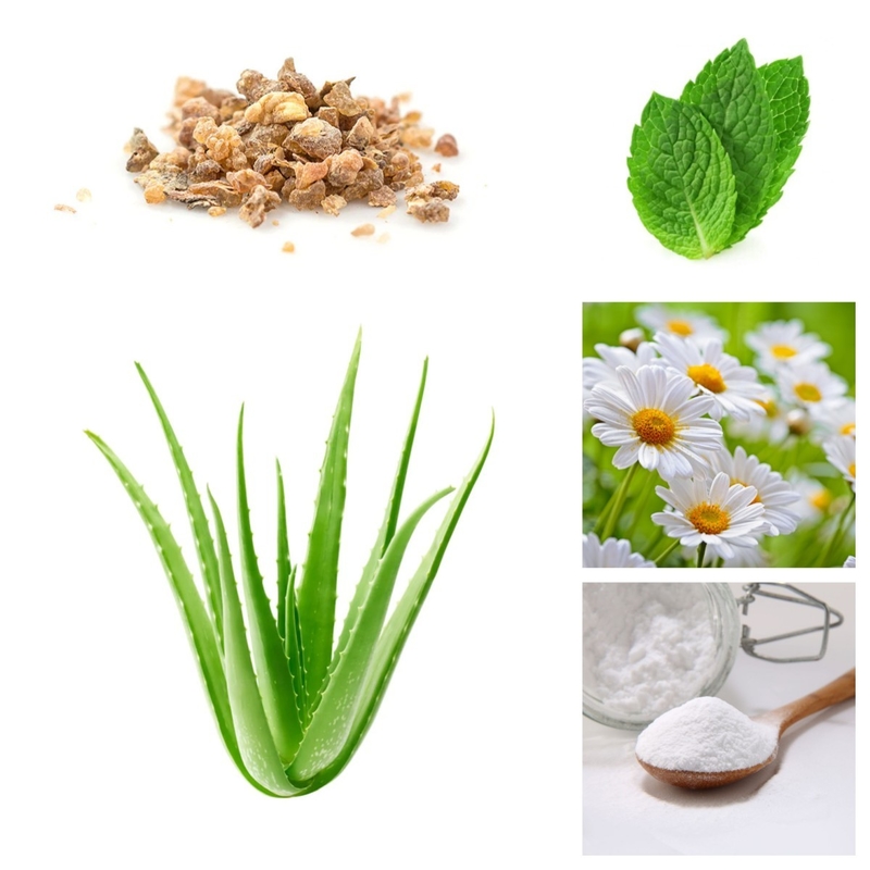 Kebersihan Mulut Pasta Gigi Pemutih Gigi Home Pearl White Natural Chamomile Extract Aloe Vera