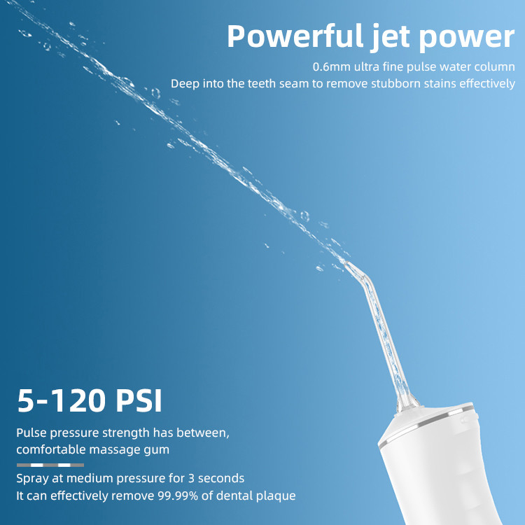 IPX7 Rumah Dan Perjalanan Penghilang Plak Gigi Perawatan Gigi Irrigator Flosser Air Profesional