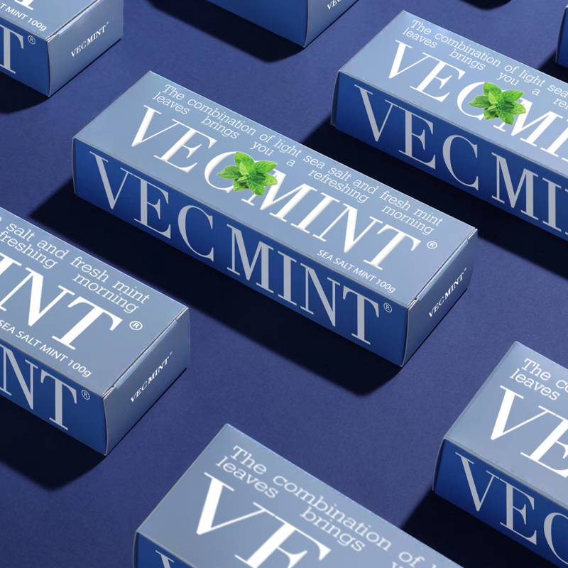 VECMINT Sea Salt & Fresh Mint Toothpaste - Leaving Your Mouth Refreshed 100g pabrik grosir